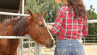 Hot Cowgirls Fucking Horses - Fuack horse girl porn videos with hot teen girls