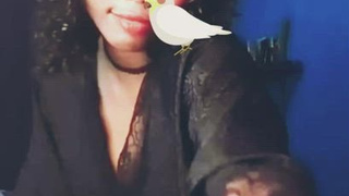 Indian Dress legitimate Years Old GIF